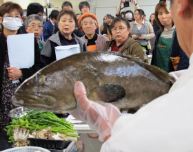 高級魚クエを陸上養殖 世界有数の漁場 三陸の挑戦 日本経済新聞