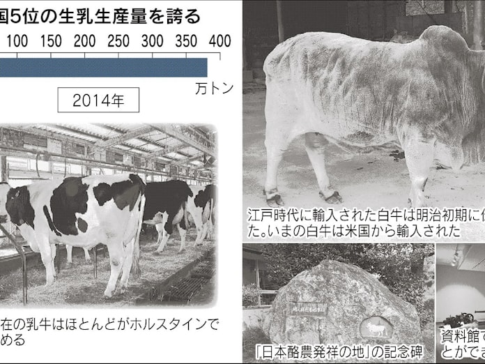実は酪農発祥の地 南房総 徳川吉宗とインドの白牛 日本経済新聞 実は酪農発祥の地 南房総 徳川吉宗とインドの白牛 日本経済新聞