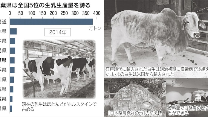 実は酪農発祥の地 南房総 徳川吉宗とインドの白牛 日本経済新聞 実は酪農発祥の地 南房総 徳川吉宗とインドの白牛 日本経済新聞