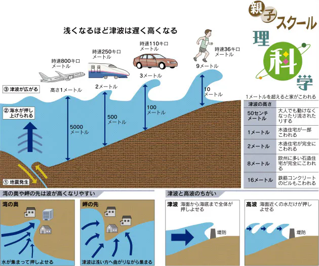 津波って どんなしくみで起こるの Nikkei Style