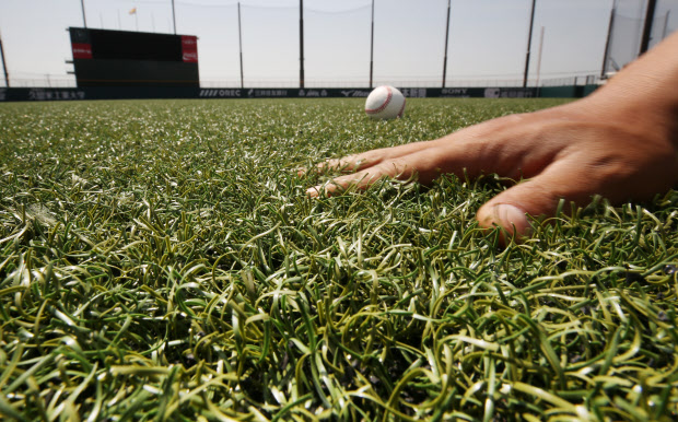 自然な毛先 ふかふか芝 ミズノの野球専用人工芝 ここに技あり 日本経済新聞