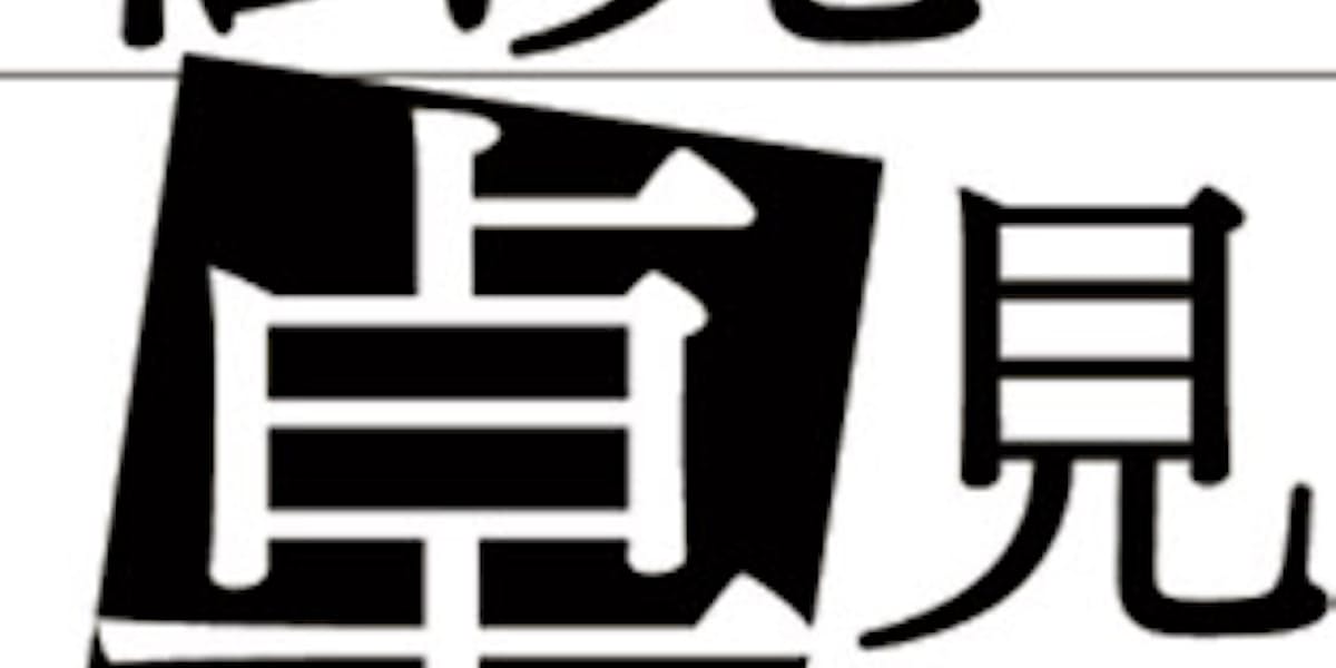 監査の質 新手法で高めよ 五十嵐則夫氏 日本経済新聞