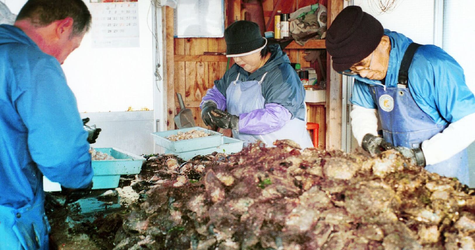 真珠の養殖貝 アスパラの根元 おしゃれ食品に変身 Nikkei Style 真珠の養殖貝 アスパラの根元 おしゃれ食品に変身 Nikkei Style