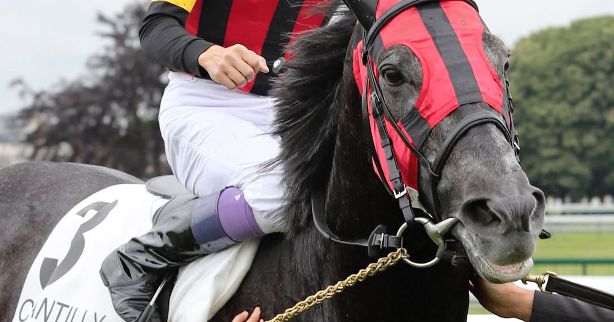 武豊と蛯名が紡ぐ好対照な 日本ダービー物語 日本経済新聞 武豊と蛯名が紡ぐ好対照な 日本ダービー物語 日本経済新聞