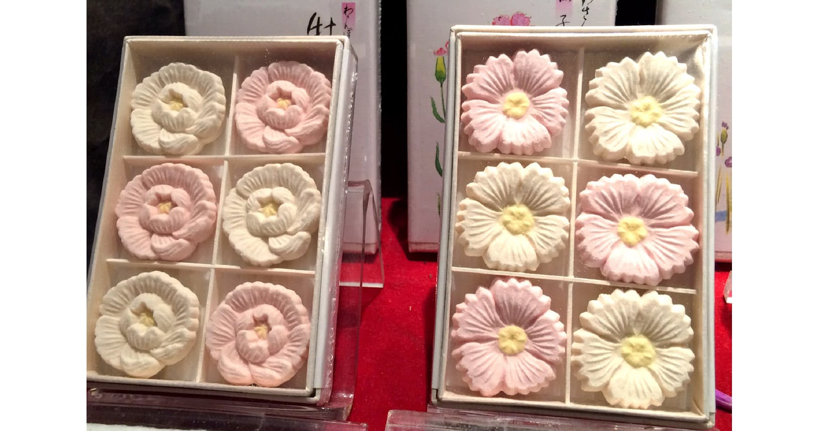 香川県坂出市富士見町2 4 9 大安屋 イメージポケモンコレクション 香川県坂出市富士見町2 4 9 大安屋 イメージポケモンコレクション