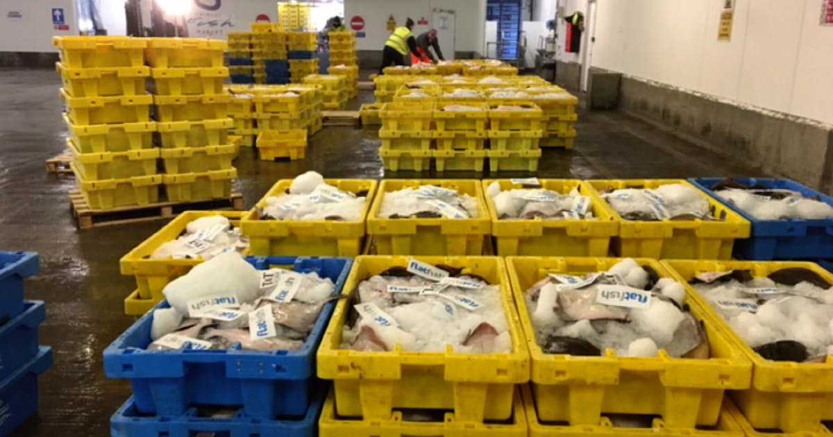 疲弊する英国の地方都市 Eu離脱論が噴出 日本経済新聞 疲弊する英国の地方都市 Eu離脱論が噴出 日本経済新聞