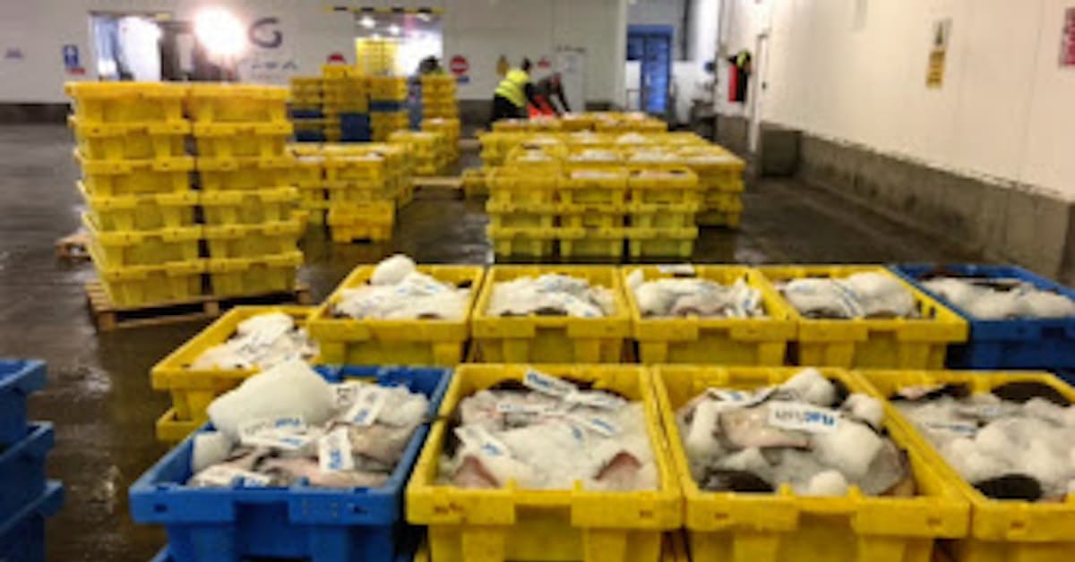 疲弊する英国の地方都市 Eu離脱論が噴出 日本経済新聞 疲弊する英国の地方都市 Eu離脱論が噴出 日本経済新聞