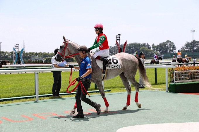 フランケル産駒初登場 5着敗戦でも素質十分 日本経済新聞