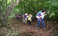 ロングトレイル入門講座で軽井沢の離山を登る参加者