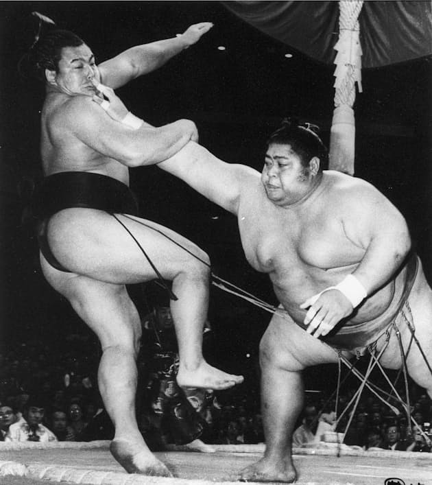 ウルフ 早すぎた死 元横綱 千代の富士の歩み 日本経済新聞