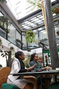 Itや即席麺も 日本企業のアフリカ進出相次ぐ 日本経済新聞