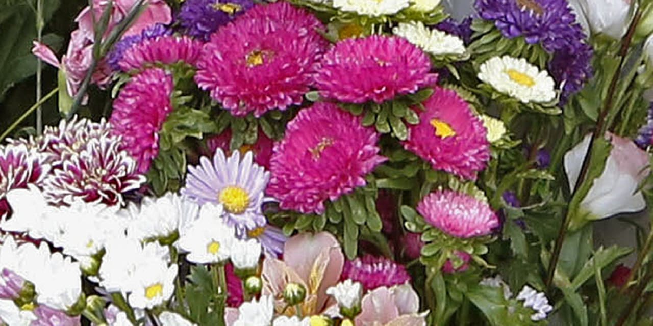 火中の栗を拾った動物は ライフコラム Nikkei Style