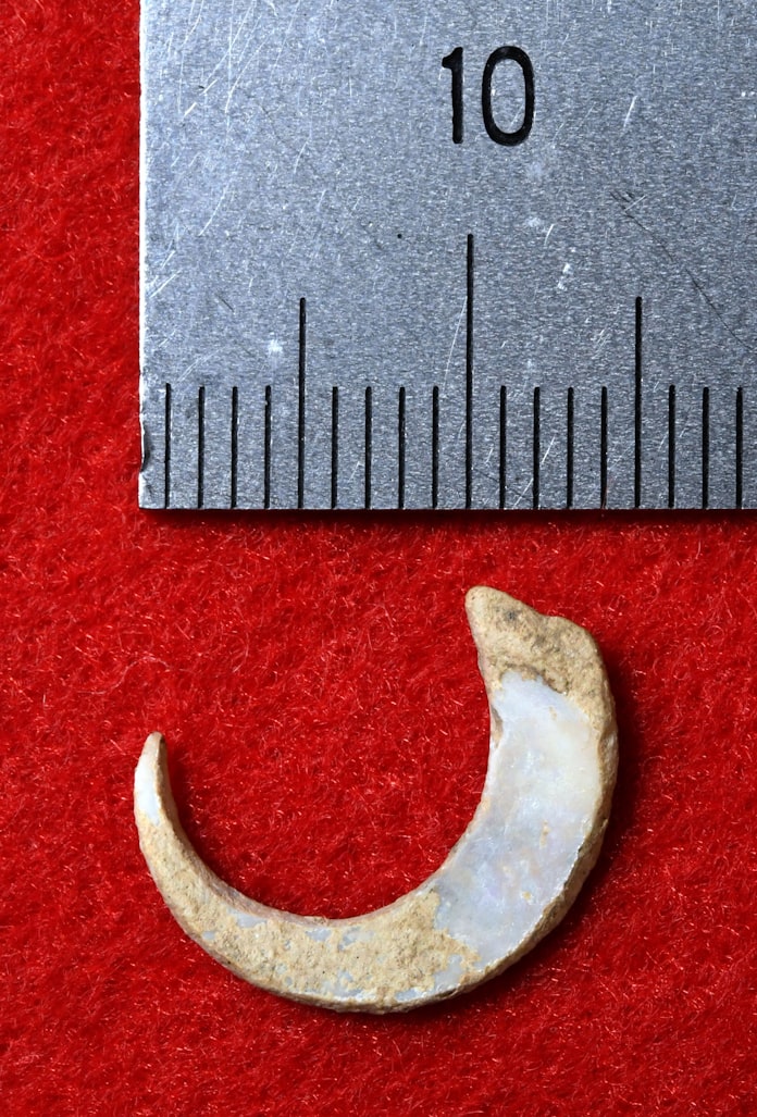 世界最古の釣り針出土 沖縄 旧石器時代 日本経済新聞 世界最古の釣り針出土 沖縄 旧石器時代 日本経済新聞