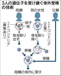 3人の遺伝子持つ子供誕生 米医師ら 日本経済新聞