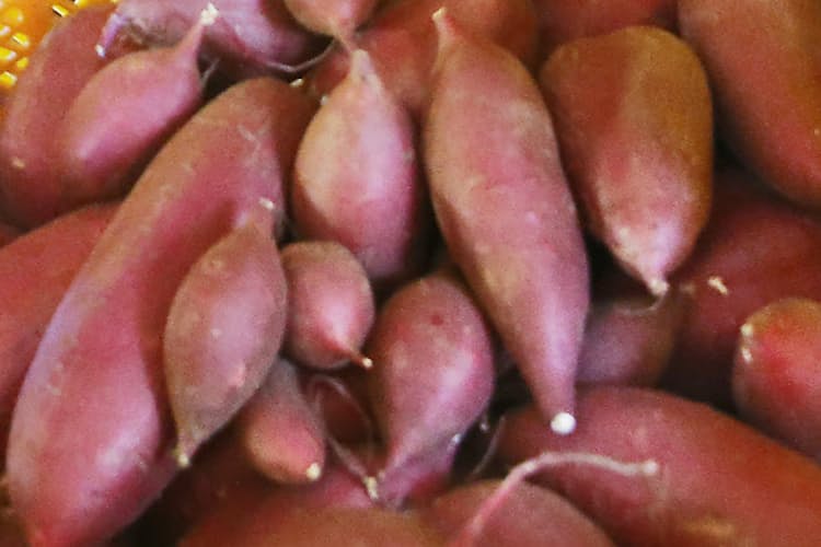 サツマイモの面白い別名は Nikkei Style サツマイモの面白い別名は Nikkei Style