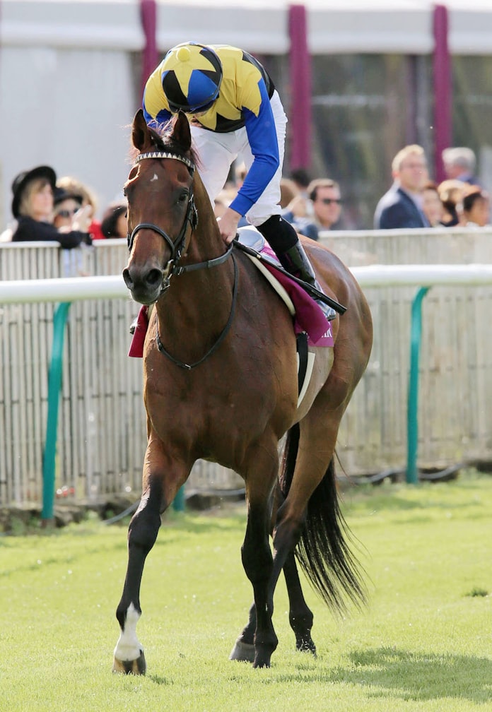 凱旋門賞 予想外のマカヒキ惨敗の背景を探ると 日本経済新聞 凱旋門賞 予想外のマカヒキ惨敗の背景を探ると 日本経済新聞