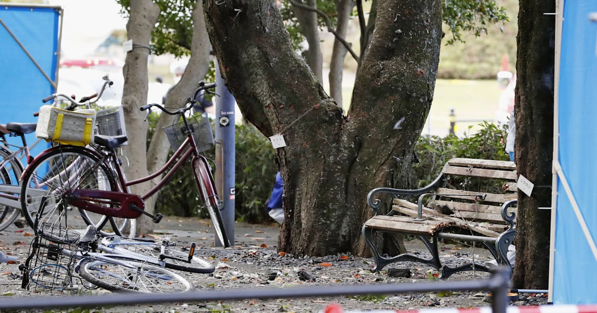 宇都宮の公園で爆発か 焼死体発見 3人負傷 日本経済新聞 宇都宮の公園で爆発か 焼死体発見 3人負傷 日本経済新聞