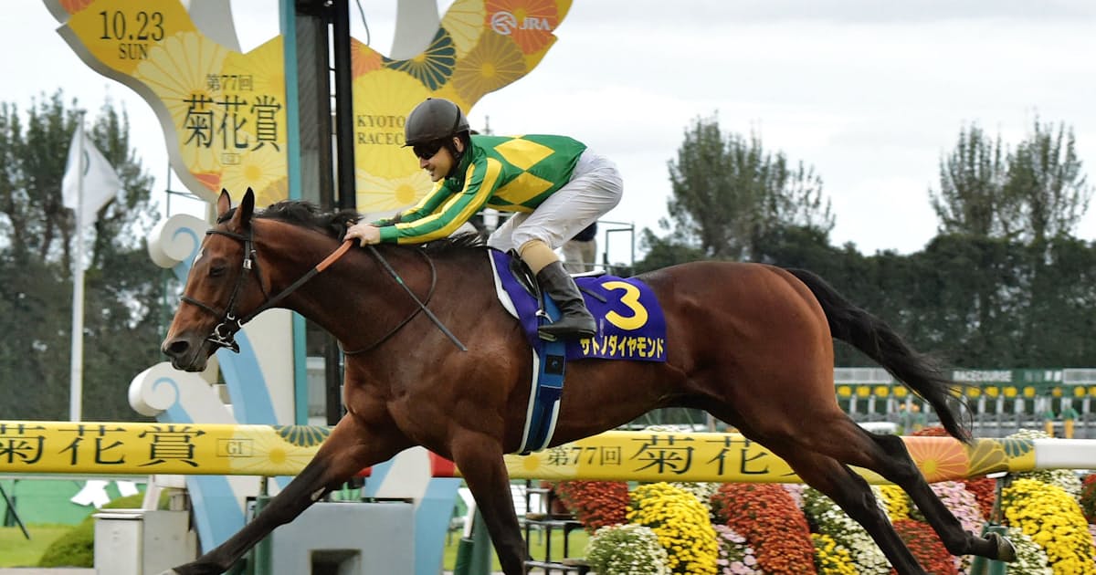 ディープインパクト 万能種牡馬へ一歩 日本経済新聞 ディープインパクト 万能種牡馬へ一歩 日本経済新聞