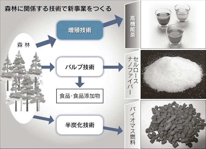 メタボ抑えるお茶 日本製紙が来年発売 日本経済新聞