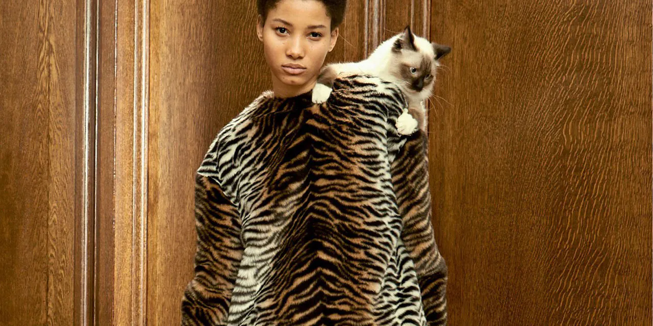 アニマルフリー 動物素材に背を向けたカッコよさ Nikkei Style アニマルフリー 動物素材に背を向けたカッコよさ Nikkei Style