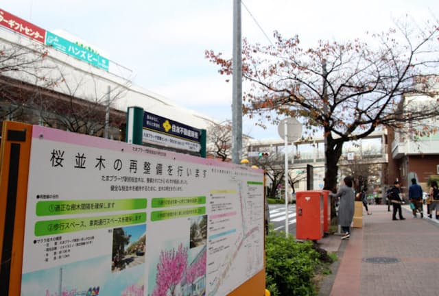 たまプラーザ駅前では桜並木の再整備が始まった（横浜市青葉区）