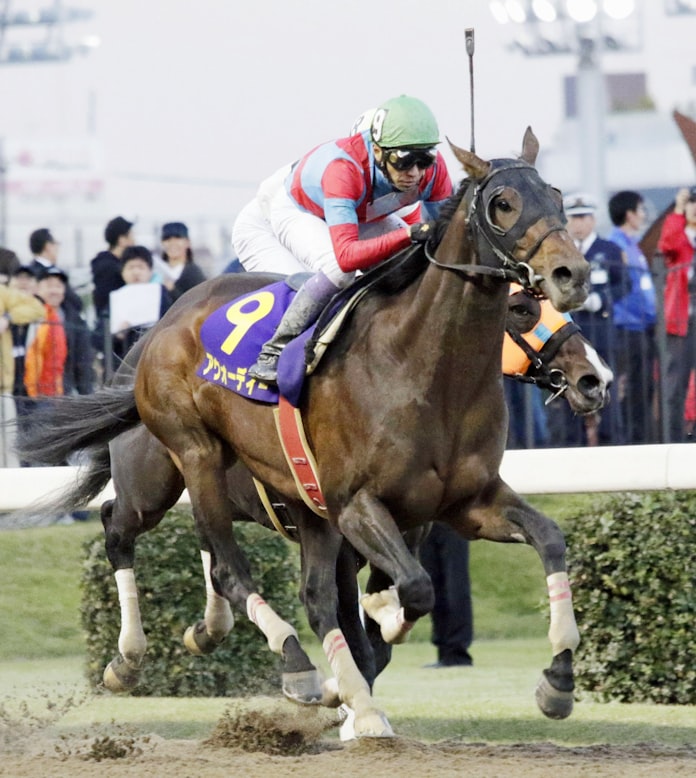 マイナーイメージ払拭は ダート競馬どこへ行く 日本経済新聞