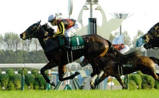 ミスエルテは朝日杯FSで牡馬に挑戦する=JRA提供 ミスエルテは朝日杯FSで牡馬に挑戦する=JRA提供