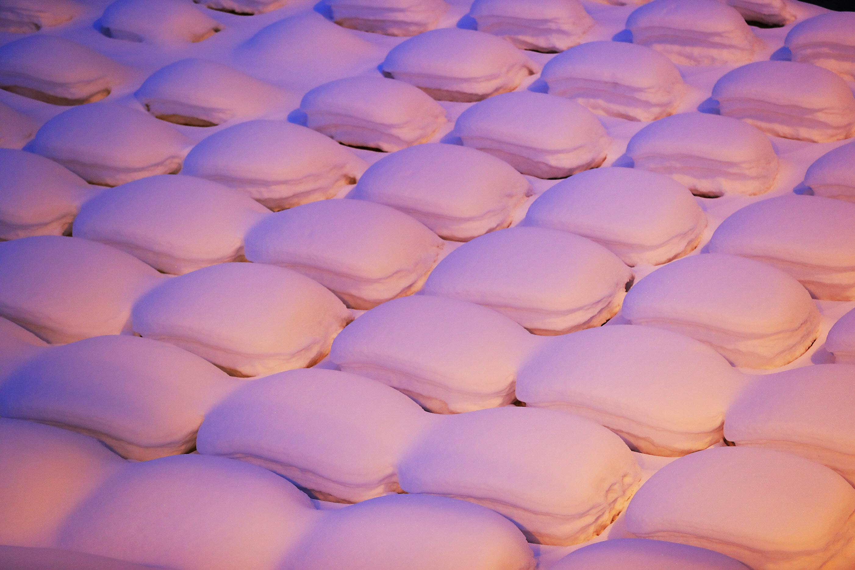 雪の断章 佐々木丸美 写真 日本経済新聞 雪の断章 佐々木丸美 写真 日本経済新聞