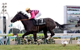 デビュー2連勝の内容は圧巻(2月19日のつばき賞)=JRA提供 デビュー2連勝の内容は圧巻(2月19日のつばき賞)=JRA提供