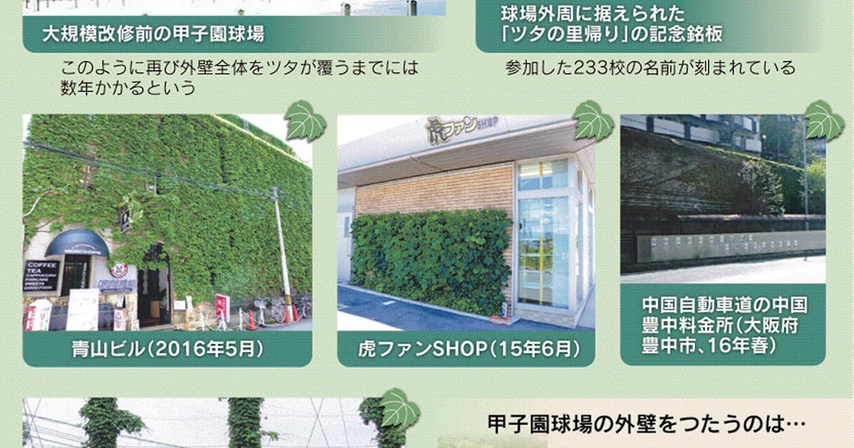 もっと関西 株分け ビルや高速道 学校へ とことんサーチ 日本経済新聞 もっと関西 株分け ビルや高速道 学校へ とことんサーチ 日本経済新聞