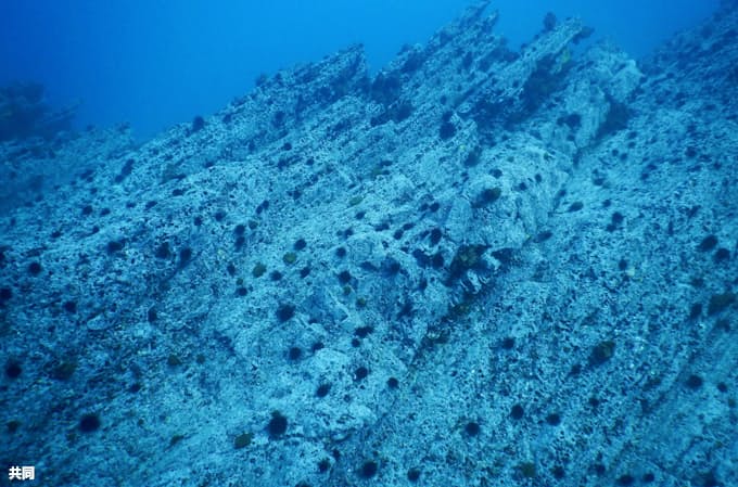 三陸の海でウニ大量発生 海藻の食害深刻 身も少なく 日本経済新聞