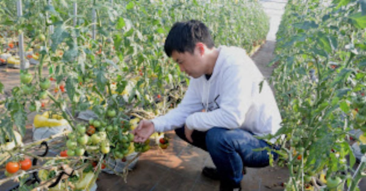 未経験者も即 農家に 農業ベンチャーが就農支援 日本経済新聞