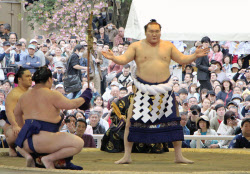 白鵬と2大関が春巡業合流 靖国神社で奉納相撲 日本経済新聞 白鵬と2大関が春巡業合流 靖国神社で奉納相撲 日本経済新聞