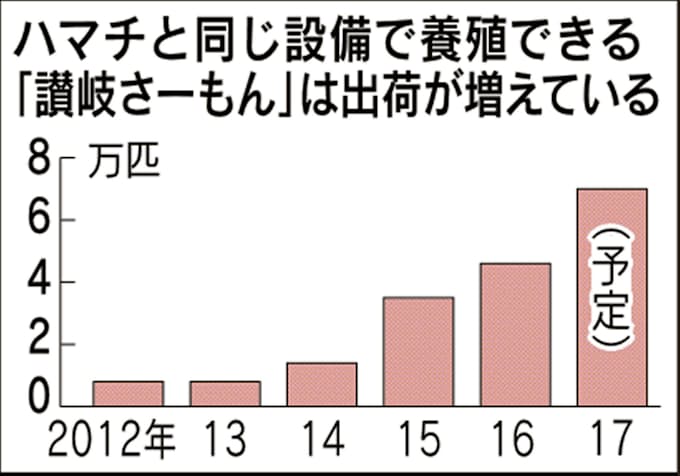 ブランド魚 瀬戸内から新顔 讃岐サーモン 愛媛のスマ 日本経済新聞