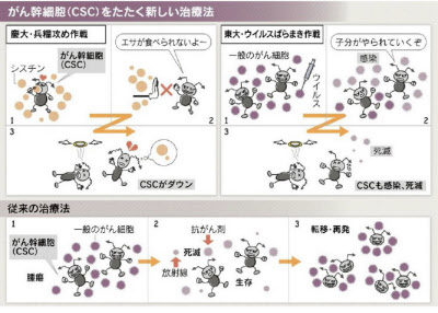 がん治療 解体新書 1 親玉をたたけ 頂上作戦 日本経済新聞