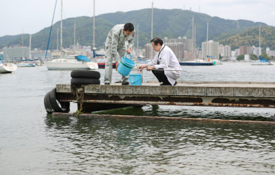 琵琶湖のアユ不漁 真犯人に外来プランクトン浮上 日本経済新聞