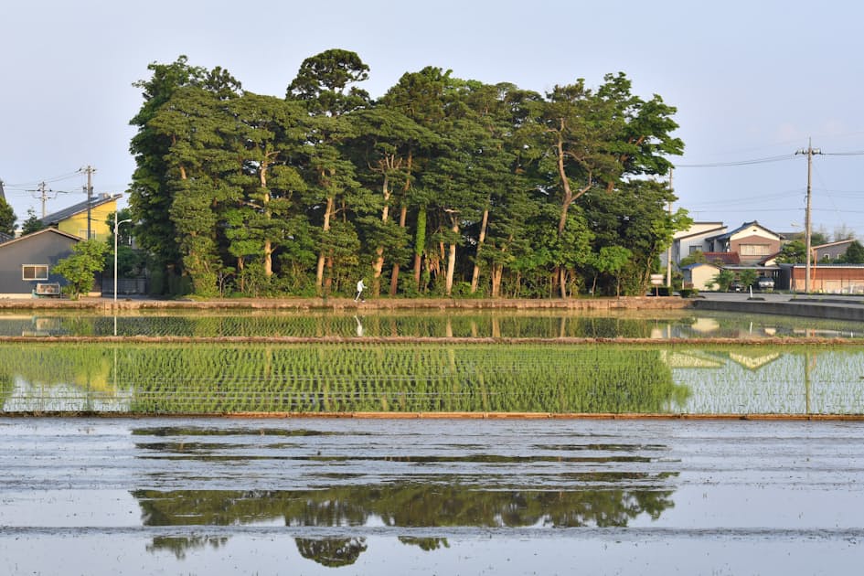 中野重治 村の家 写真 日本経済新聞 中野重治 村の家 写真 日本経済新聞
