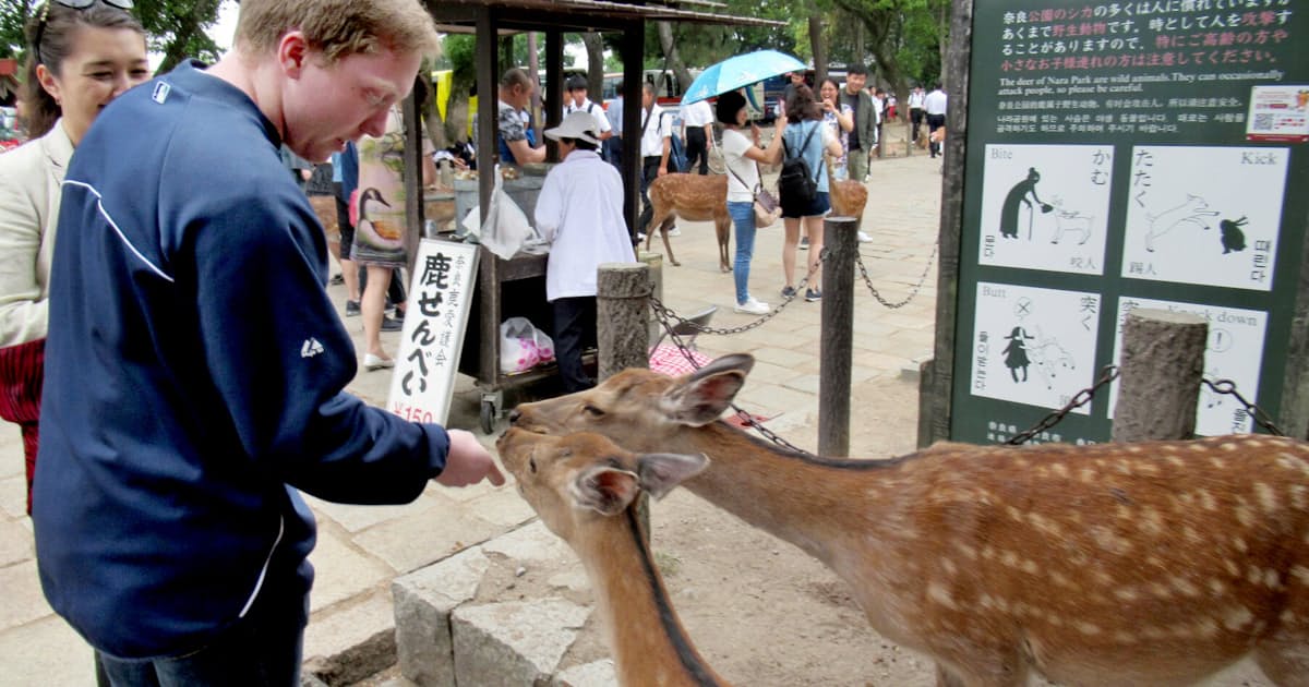 シカと触れ合い 訪日客のケガ防げ 日本経済新聞 シカと触れ合い 訪日客のケガ防げ 日本経済新聞