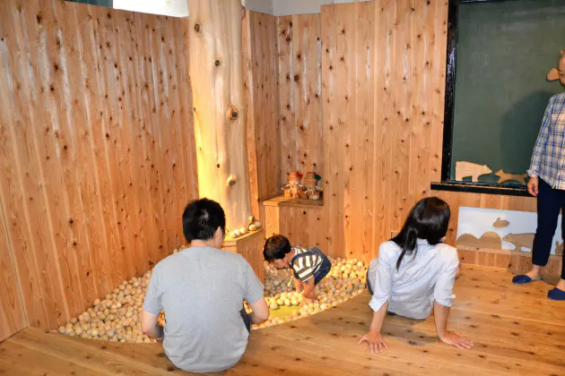 国産木材振興 玩具が一役 くらしに木の香り Nikkei Style 国産木材振興 玩具が一役 くらしに木の香り Nikkei Style