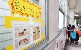 小学校の廊下に貼られたヒアリへの注意喚起の紙（4日、大阪市住之江区の南港光小学校）