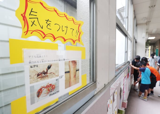 ヒアリ 大阪港に女王アリ 近隣住民 子供が心配 日本経済新聞