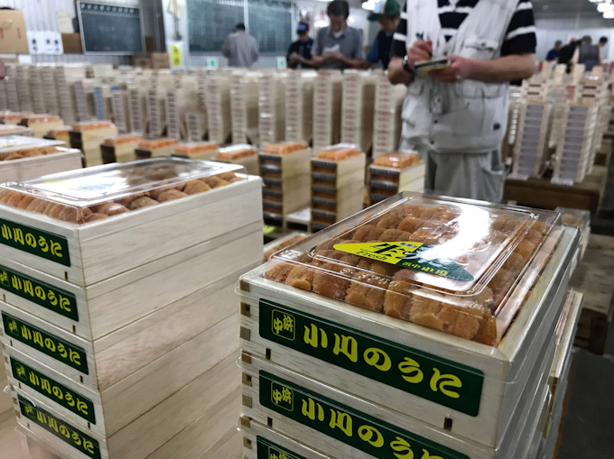 消えた 安いウニ 背景に海外の担い手不足 日本経済新聞