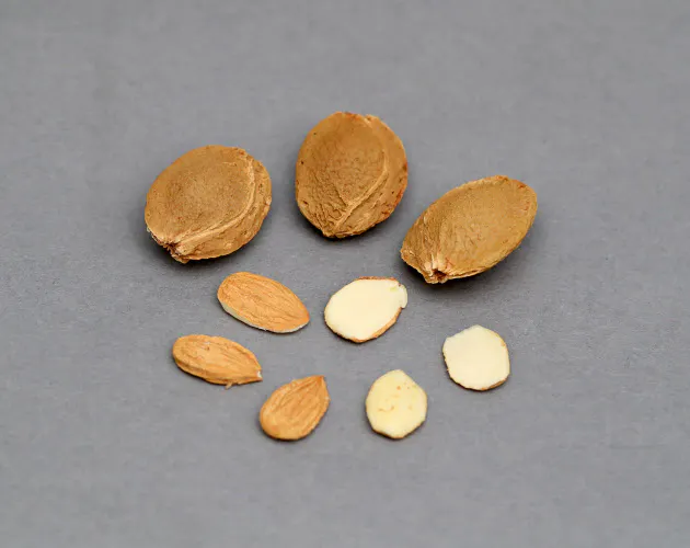 残暑疲れに杏仁豆腐10選 のどごし良く 甘さスルリ Nikkei Style 残暑疲れに杏仁豆腐10選 のどごし良く 甘さスルリ Nikkei Style