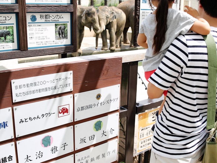 動物園 寄付で支える 広がるサポーター制度 日本経済新聞 動物園 寄付で支える 広がるサポーター制度 日本経済新聞