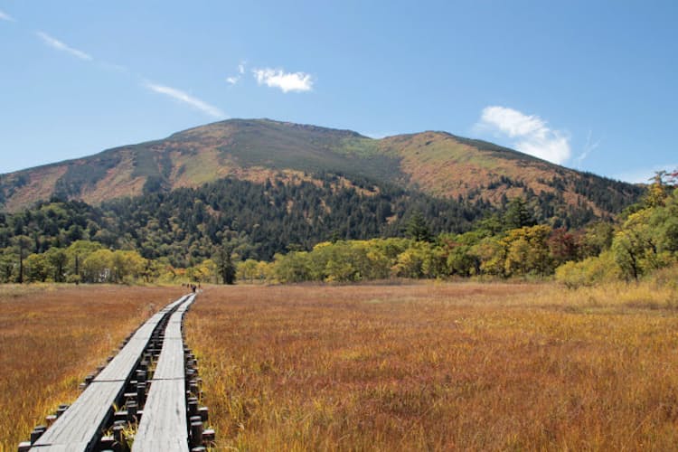 秋を探しに 草紅葉が美しい名所10選 Nikkei Style 秋を探しに 草紅葉が美しい名所10選 Nikkei Style