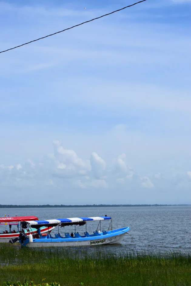 日本経済新聞 日本経済新聞