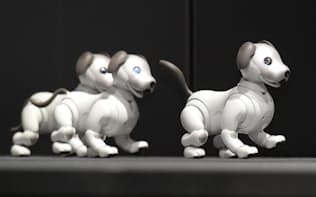 発表されたソニーの犬型ロボット「aibo」（1日午前、東京都港区）