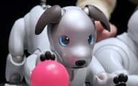 ソニーの犬型ロボット「aibo」（1日午後、東京都港区）