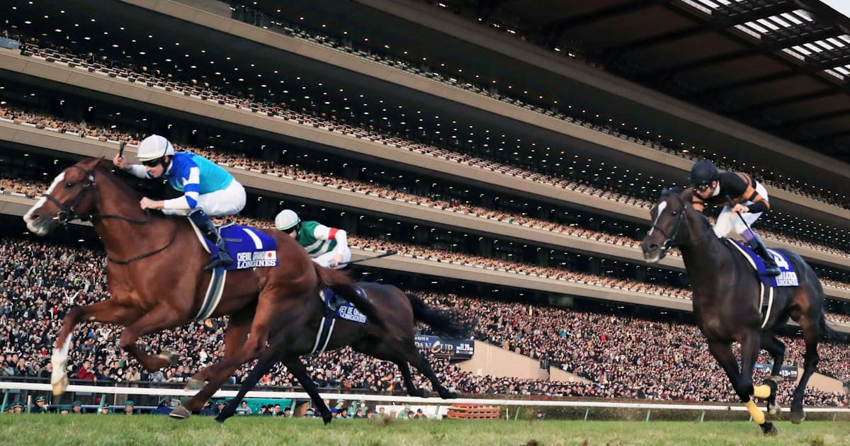 最強 13年産組 失速の背後にあるもの 日本経済新聞 最強 13年産組 失速の背後にあるもの 日本経済新聞