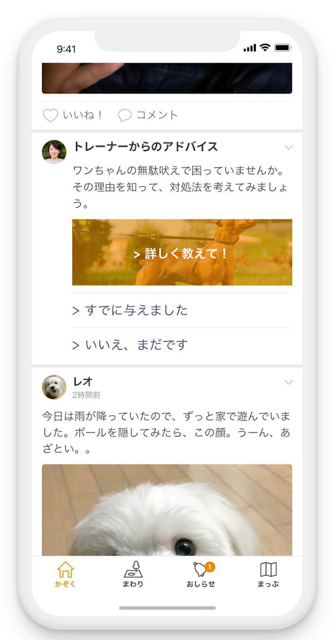 犬のしつけ方学べるアプリ アニマが開発 日本経済新聞